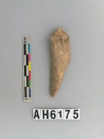 藏品(獸骨)的圖片